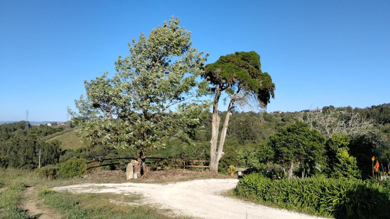 Quinta Do Oratorio Agroturismo Óbidos Exteriör bild